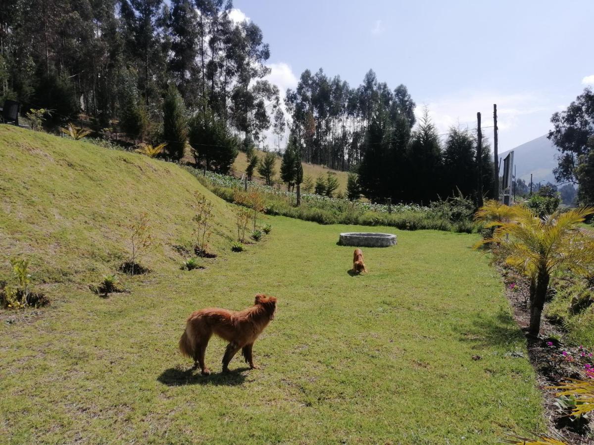 Hotel Samay Toa Otavalo Exteriér fotografie
